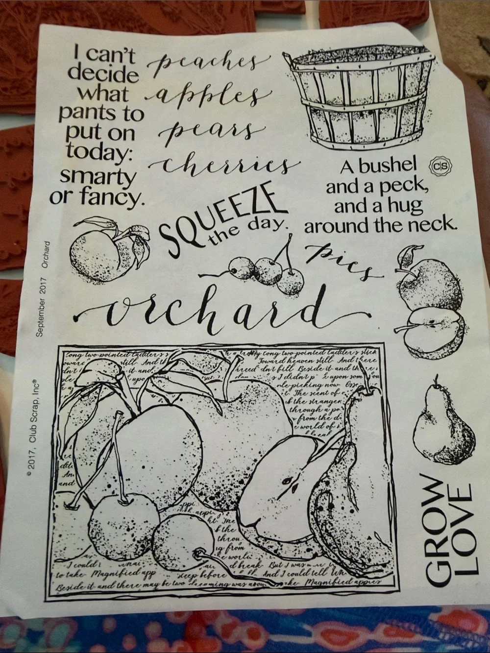 13 rubber Club Scrap Orchard  Script and Fruit Stamp Set & SU pomegranate set